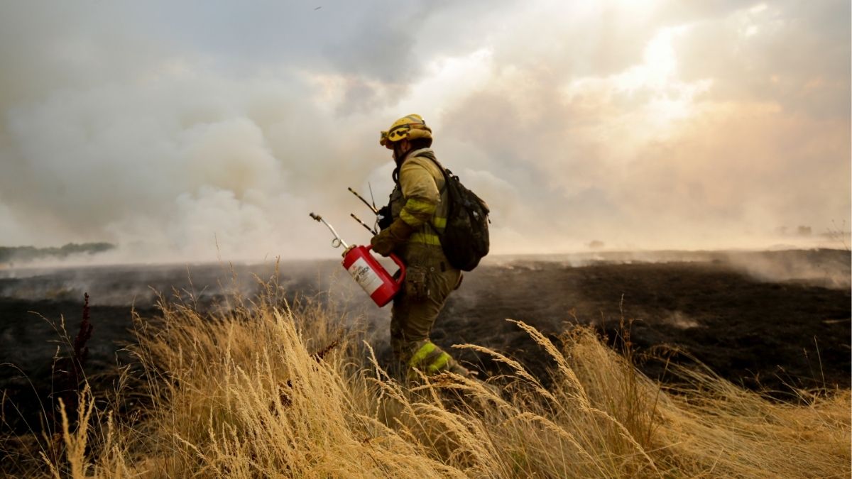 Forestales de Castilla y León critican la falta de mejora del operativo contra el fuego
