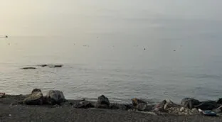 VÍDEO | Inmigrantes cruzan a nado desde Marruecos para alcanzar las costas de Ceuta