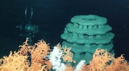 Impulsan la recuperación de corales en el mar de Alborán con arrecifes artificiales