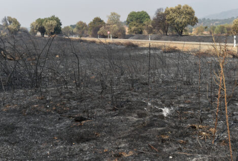 El Gobierno estima en 393.279 las hectáreas afectadas por los incendios forestales en 2025