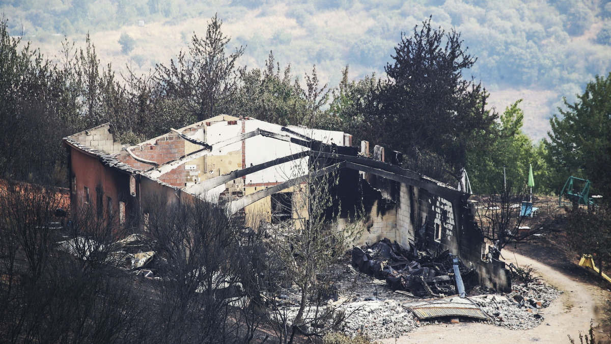 Asaja pide a Mañueco una reunión para evaluar daños por los incendios en Castilla y León