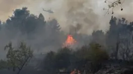 La Fiscalía gallega insta a valorar medidas cautelares como la prisión para incendiarios