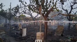 Extinguido el incendio que obligó a desalojar un camping de El Vendrell (Tarragona)