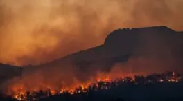 Las emisiones en España alcanzan su cifra más alta desde 2003 debido a los incendios