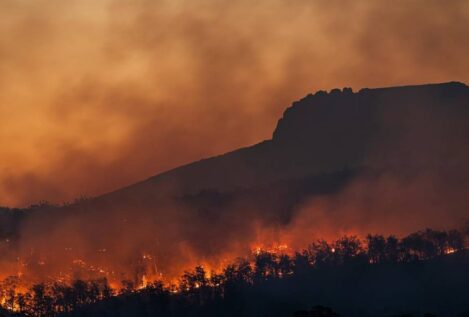 Las emisiones en España alcanzan su cifra más alta desde 2003 debido a los incendios