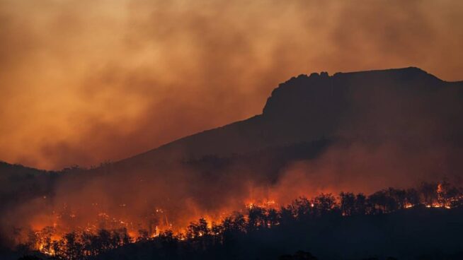 Las emisiones en España alcanzan su cifra más alta desde 2003 debido a los incendios