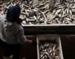 Los mercados reciben menos sardinas y más caras por la escasez y el tope pesquero