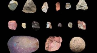 Los homínidos transportaban piedras a largas distancias antes de lo esperado