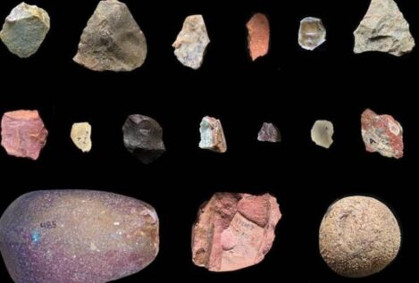 Los homínidos transportaban piedras a largas distancias antes de lo esperado