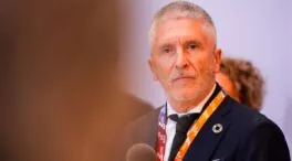 Marlaska comparecerá en el Senado la semana próxima porque no está «de vacaciones»