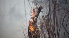 Detenido un menor acusado de causar varios incendios en Santiago de Compostela