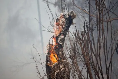 Detenido un menor acusado de causar varios incendios en Santiago de Compostela