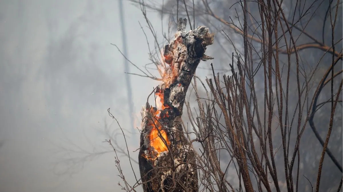 Detenido un menor acusado de causar varios incendios en Santiago de Compostela