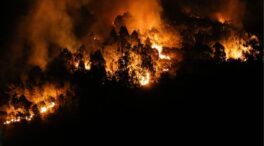 Ciencia ha participado en 51 proyectos sobre incendios forestales con nueve millones