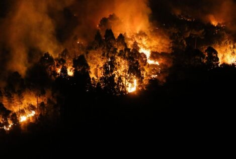 Ciencia ha participado en 51 proyectos sobre incendios forestales con nueve millones