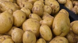 Asaja exige a Castilla y León precios justos para la patata