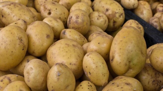 Asaja exige a Castilla y León precios justos para la patata