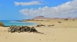 Estado de las playas y calas en Islas Canarias este domingo, 31 de agosto de 2025