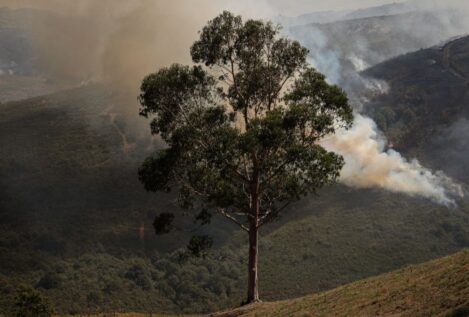 Los incendios se triplicaron desde que Interior declaró la preemergencia estatal hace 15 días