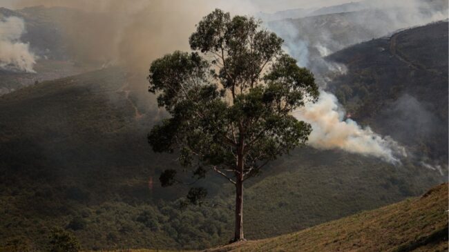 Los incendios se triplicaron desde que Interior declaró la preemergencia estatal hace 15 días
