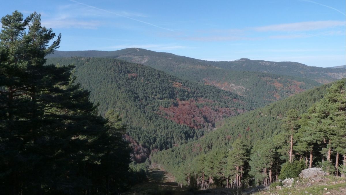 Ecologistas denuncian la «inconstitucionalidad» de la reforma de Biodiversidad de La Rioja