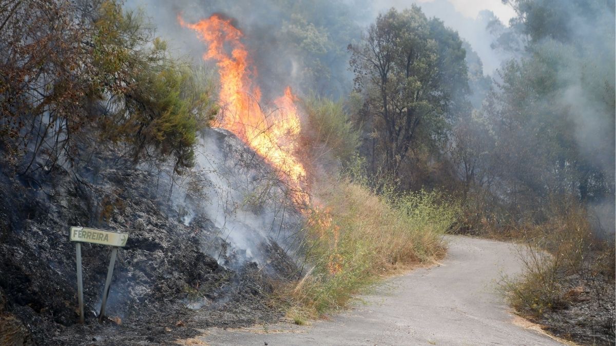 El Gobierno refuerza el dispositivo anti incendios en Galicia con 200 militares