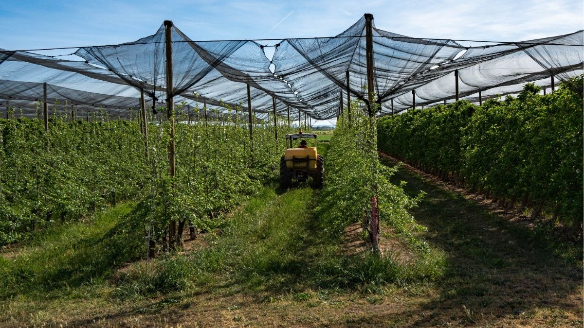 Un informe forense apunta que el temporero fallecido en Alcarrás sufrió estrés por calor
