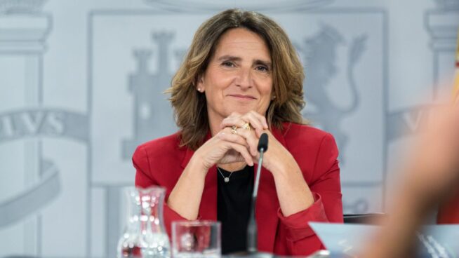 Ribera rechazó el 27% de nuevas instalaciones de distribución eléctrica por impacto ambiental