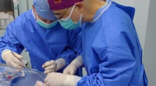 Trasplantan por primera vez un pulmón de cerdo a un humano en muerte cerebral