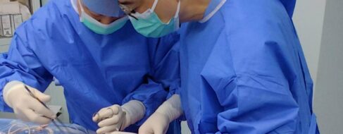 Trasplantan por primera vez un pulmón de cerdo a un humano en muerte cerebral