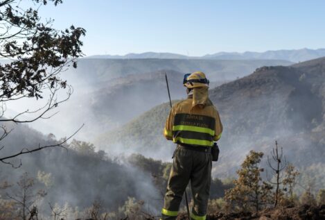Decenas de medios intentan extinguir cuatro grandes incendios en la provincia de León