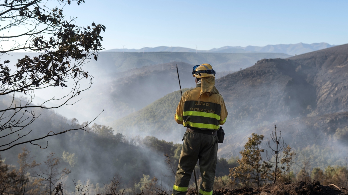 Decenas de medios intentan extinguir cuatro grandes incendios en la provincia de León