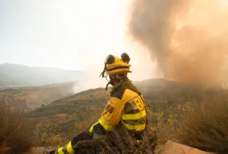 Los grandes incendios forestales han quemado 140.000 hectáreas en Castilla y León en 12 días