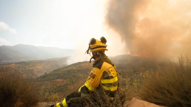 Los grandes incendios forestales han quemado 140.000 hectáreas en Castilla y León en 12 días
