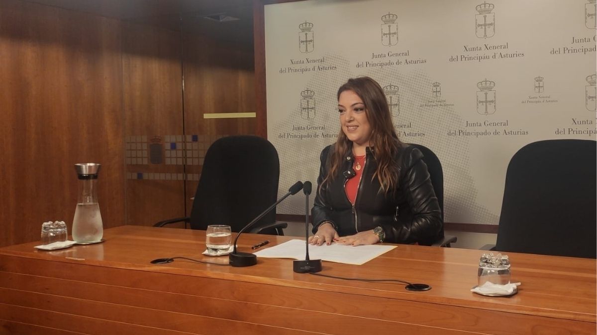 Vox denuncia el «uso partidista» de la comisión sobre el accidente en la mina de Cerredo