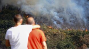 37 detenidos y 113 investigados relacionados con los incendios desde el 1 de junio