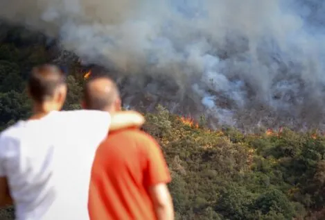 ¿Puede la vegetación recuperarse por sí sola después de un gran incendio?