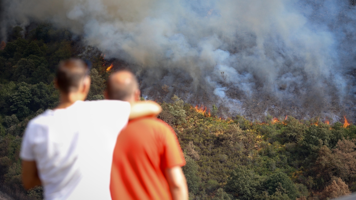 37 detenidos y 113 investigados relacionados con los incendios desde el 1 de junio