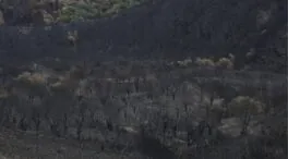 El viento da una tregua en Castilla y León, donde mejoran los incendios y hay realojos