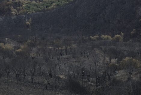 El viento da una tregua en Castilla y León, donde mejoran los incendios y hay realojos