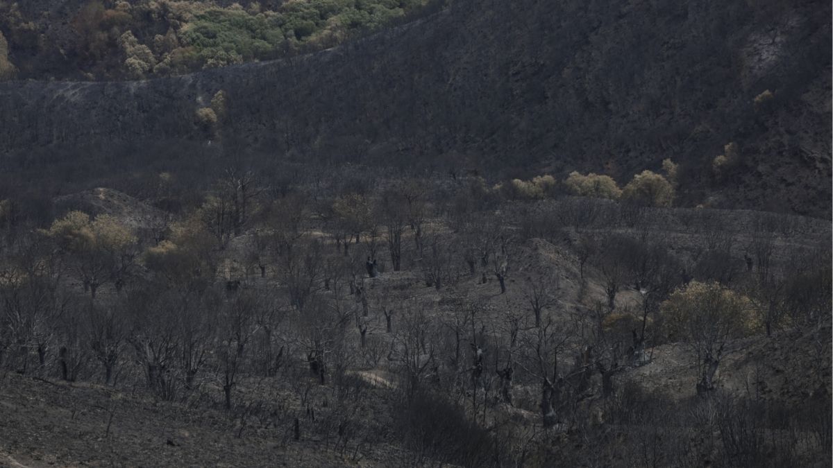 El viento da una tregua en Castilla y León, donde mejoran los incendios y hay realojos