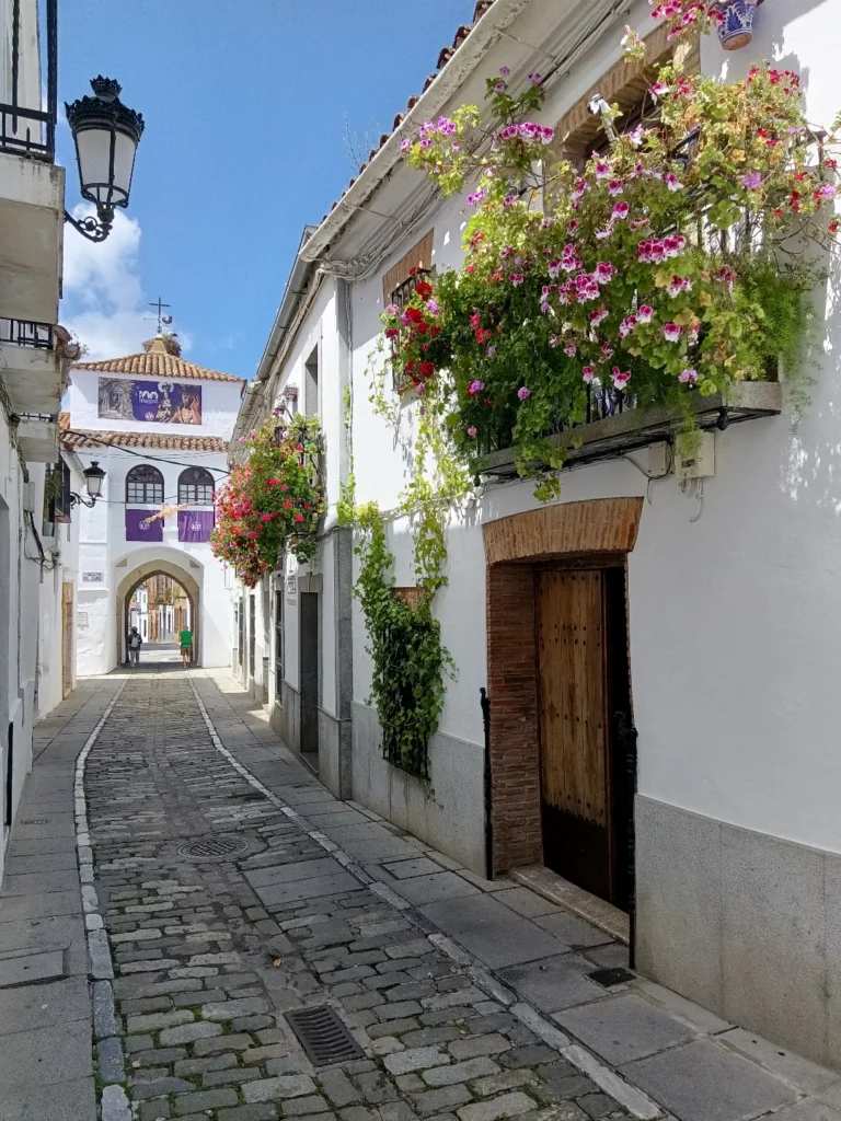 Zafra | @josejoaquinqq
