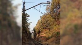 Interrumpida la circulación de trenes en Barbantes (Orense) por la caída de un árbol