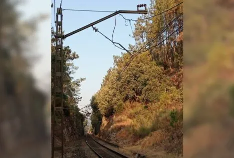 Interrumpida la circulación de trenes en Barbantes (Orense) por la caída de un árbol