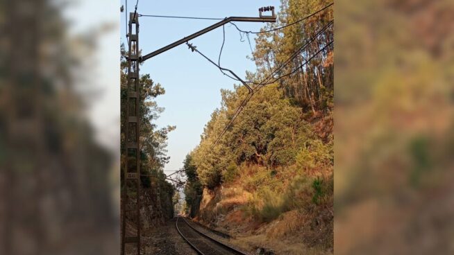 Interrumpida la circulación de trenes en Barbantes (Orense) por la caída de un árbol