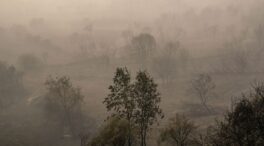 El fuego asola España: dos muertos, decenas de heridos y miles de hectáreas quemadas