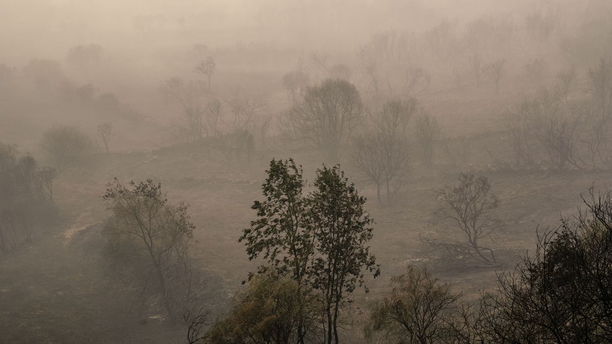 El fuego asola España: dos muertos, decenas de heridos y miles de hectáreas quemadas