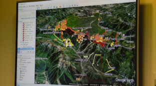 La población mundial expuesta a incendios forestales aumentó un 40% en 20 años