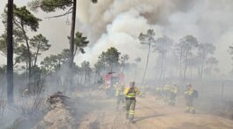 Más de medio centenar de medios participan en la extinción de un incendio en Ávila