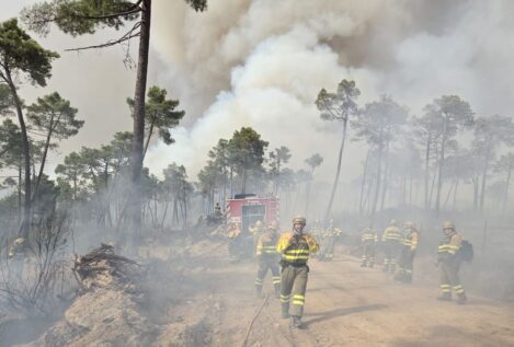 Más de medio centenar de medios participan en la extinción de un incendio en Ávila